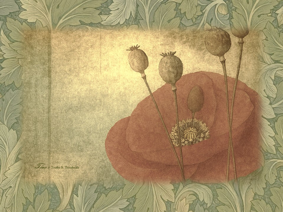 On Regret, Clarity, and the Versions of Myself I&nbsp;Outgrew